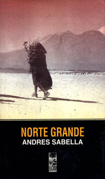 Norte Grande