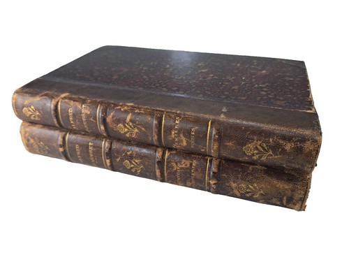 Escrotores de América cover