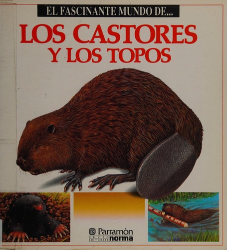 Los Escarabajos