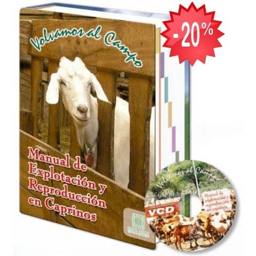 Albert Einstein : Cartas probables para Hann