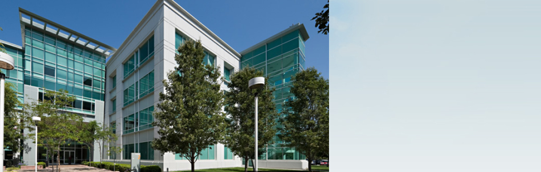 El ratón forzudo y el resorte, Cuentos para jugar y jugar cover