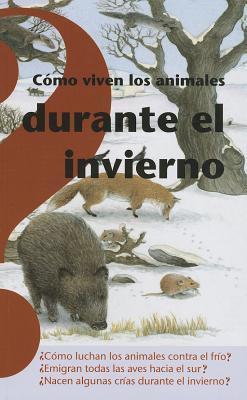 Cómo viven los animales durante el invierno