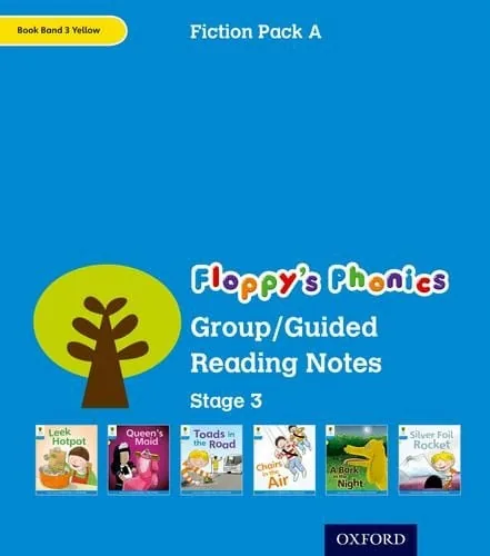 Group/Guided Reading Notes Stage 3