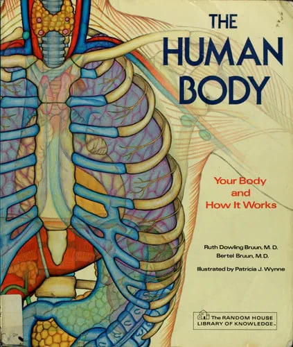 The human body cover