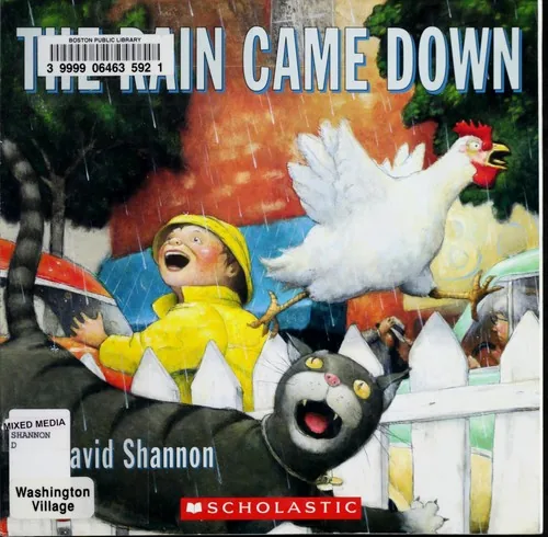 The Rain Came Down