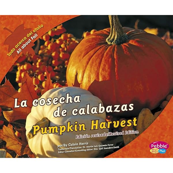 ¡Tiempo de calabazas!