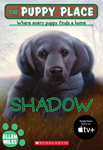 Shadow cover