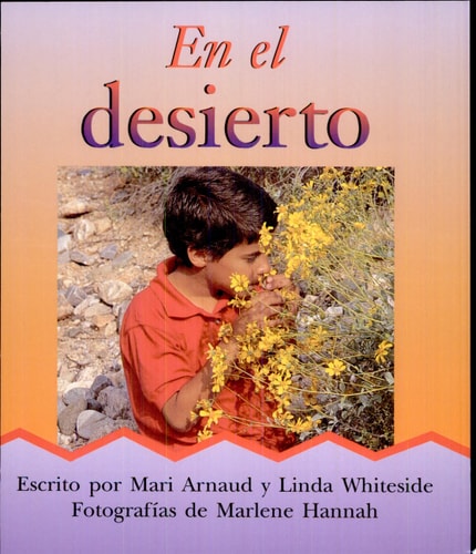 En el desierto cover
