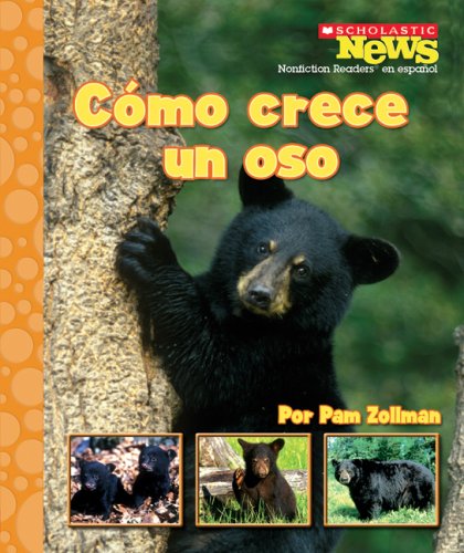 Cómo crece un oso cover