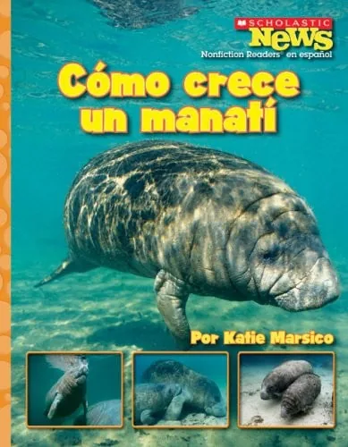 Cómo crece un manatí