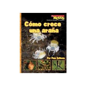 Cómo crece una araña