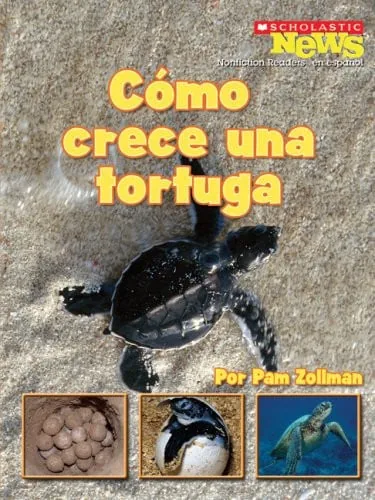 Cómo crece una tortuga