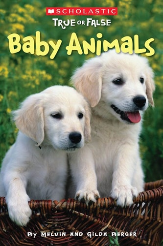 Baby Animals cover