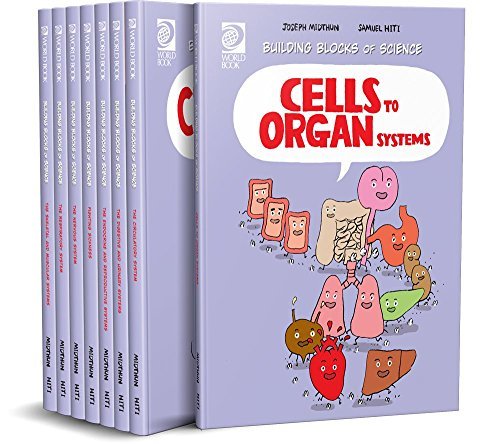 The respiratory system