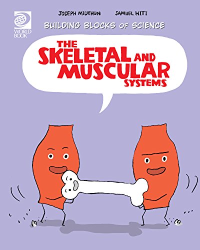 The Skeletal and Muscular Systems
