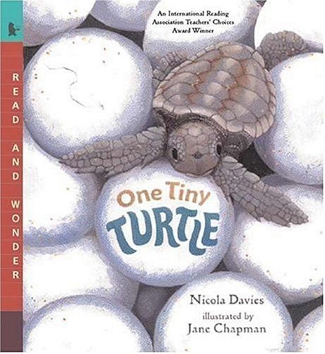 One Tiny Turtle Read and Wonder