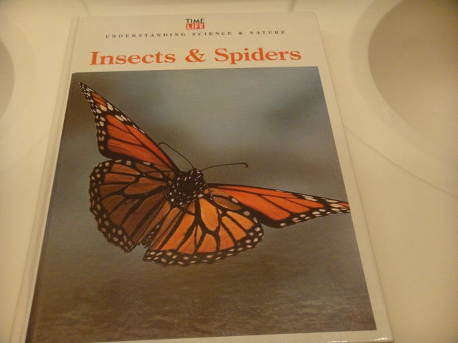 Insects & Spiders