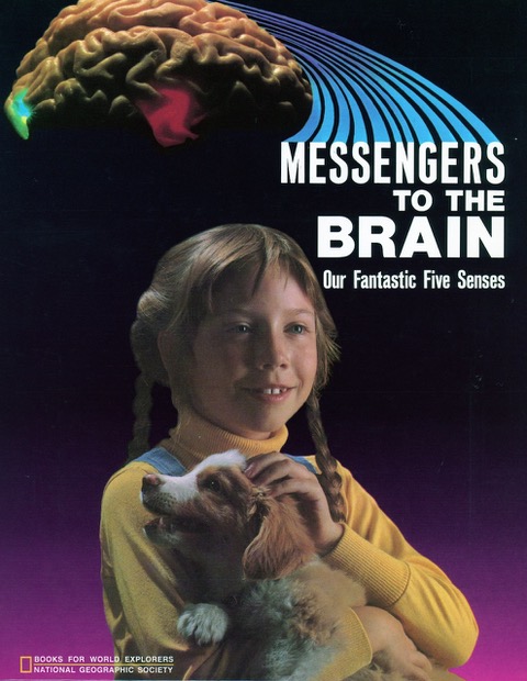 Mensajeros al Cerebro cover