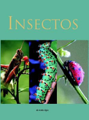 Insectos