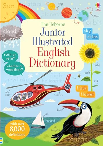 The Usborne cover