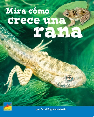 Mira cómo crece una Rana cover