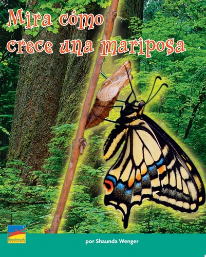 Mira como crece una mariposa.