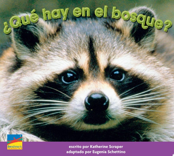 ¿ Qué hay en el bosque?