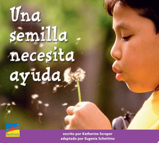 Una semilla necesita ayuda.