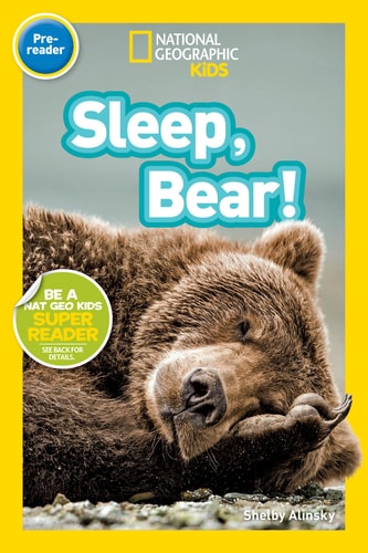 Sleep, Bear! cover