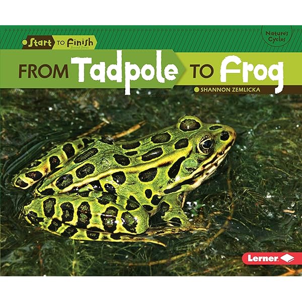 Tadpole to Frog