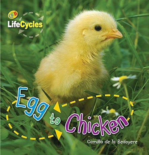 Egg to Chicken
