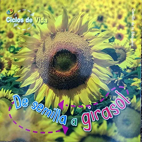 Lifecycles Seed to Sunflower ScholBC Spanish