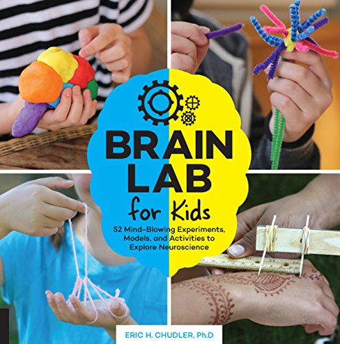 Brain lab for kids