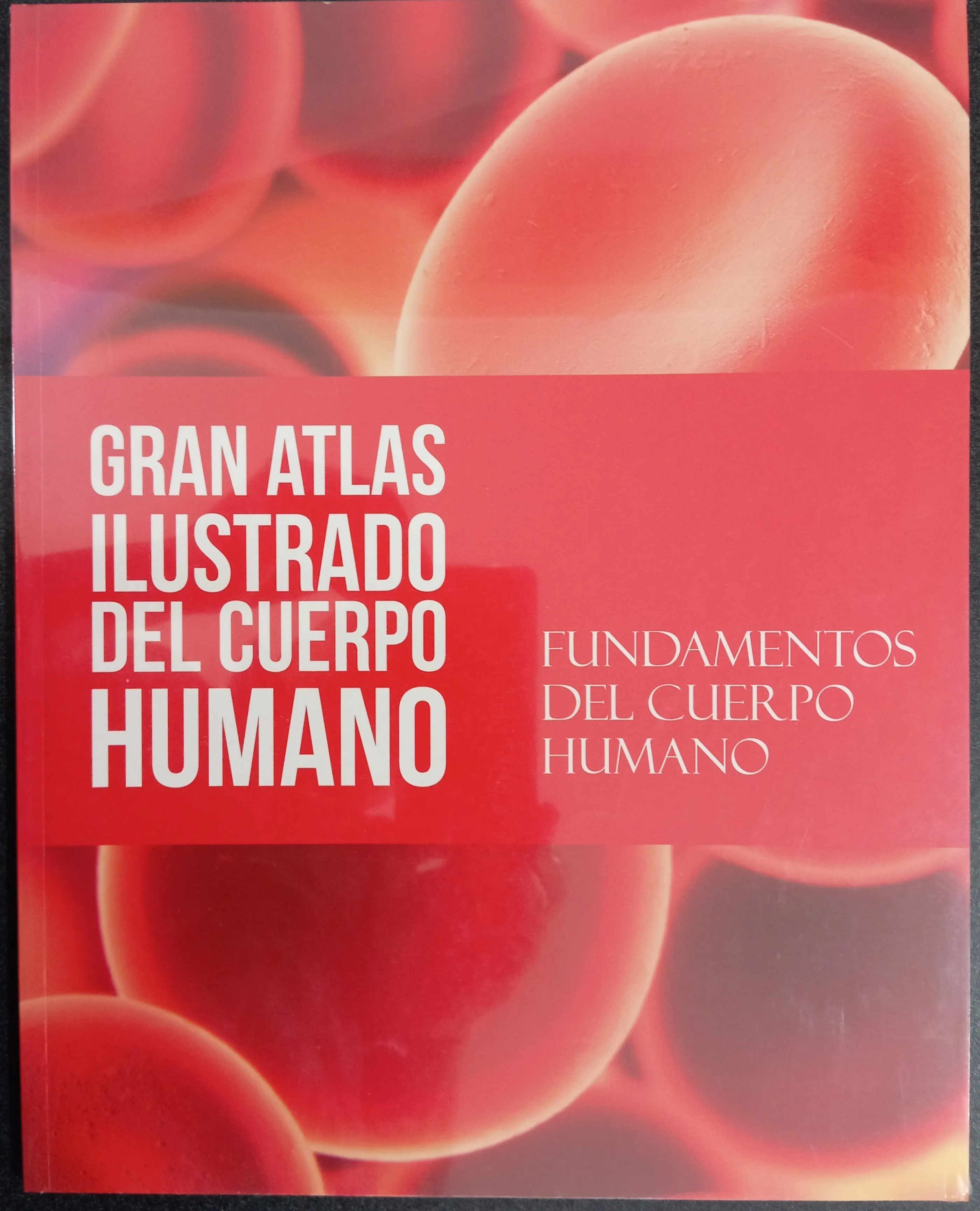 Fundamentos del cuerpo humano
