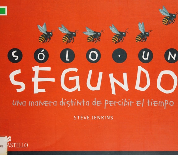 Solo un segundo cover