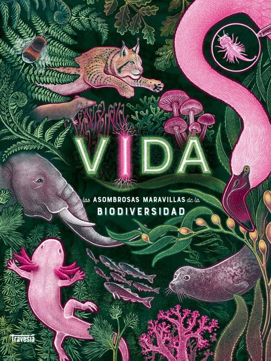 Vida : Las asombrosas maravillas de la biodiversidad cover