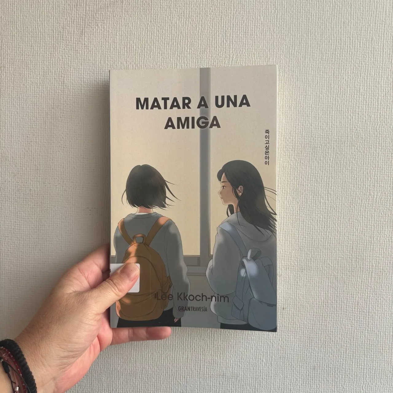 Matar a una amiga cover
