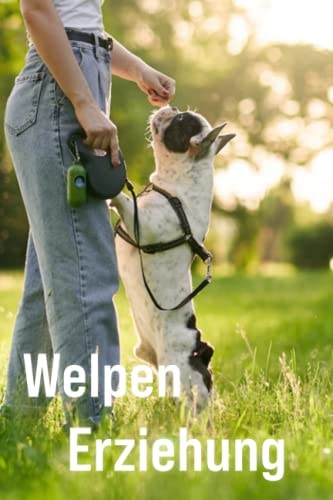 Welpen-Erziehung - Welpentraining - Welpenerziehung - Der Beginn einer wunderbaren Freundschaft (German Edition) cover