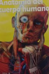 Anatomía del cuerpo humano