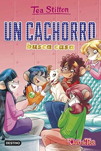 Un cachorro busca casa cover