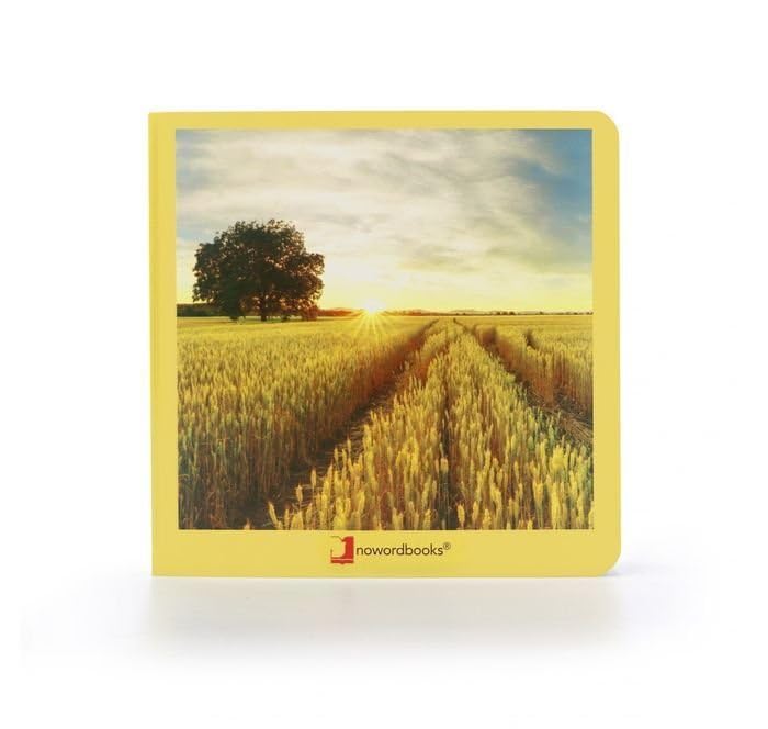 El Campo cover