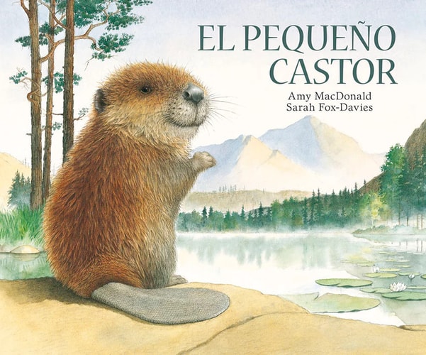 El pequeño castor cover