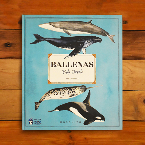 Ballena, Vida Secreta
