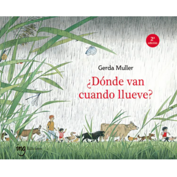 ¿Dónde van cuando llueve? cover