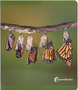 Los ciclos de la vida cover