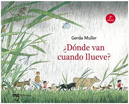 ¿Dónde van cuando llueve? cover