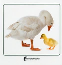 Animales domésticos y sus crías cover