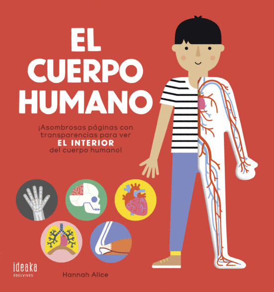 El cuerpo humano.