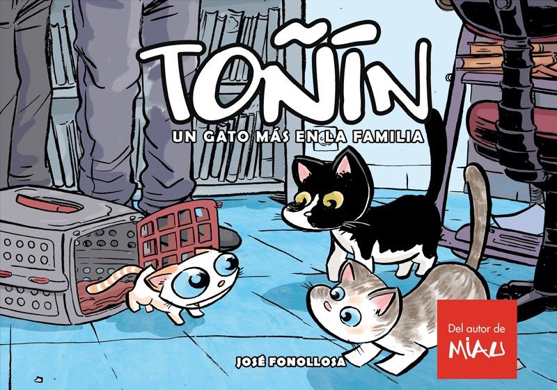 Toñin