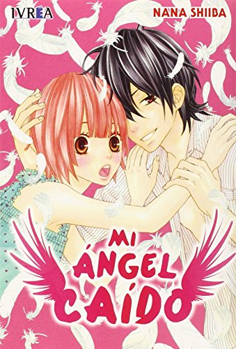 Mi ángel caido